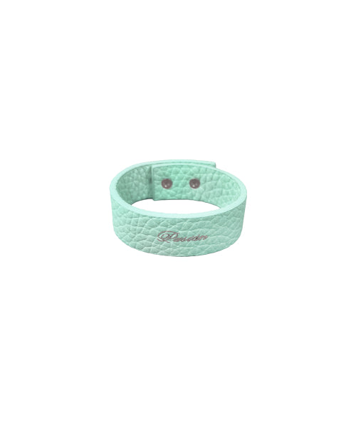 PALETTE LINK BRACELET - 5 COLORS MINT