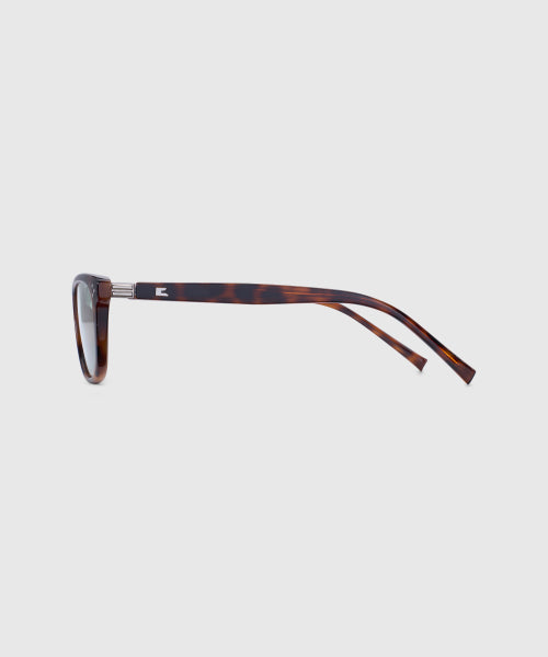 BLUE ELEPHANT TAKI-S SUNGLASSES - 3 COLORS LEOPARD