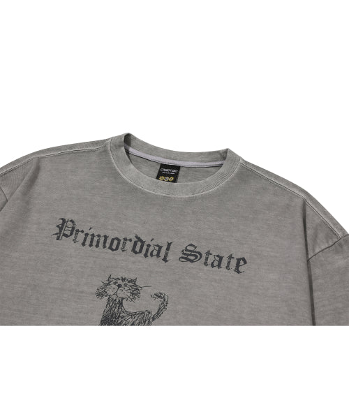 PRIMORDIAL PIGMENT LONG SLEEVE - 2 COLORS GHOST GREY