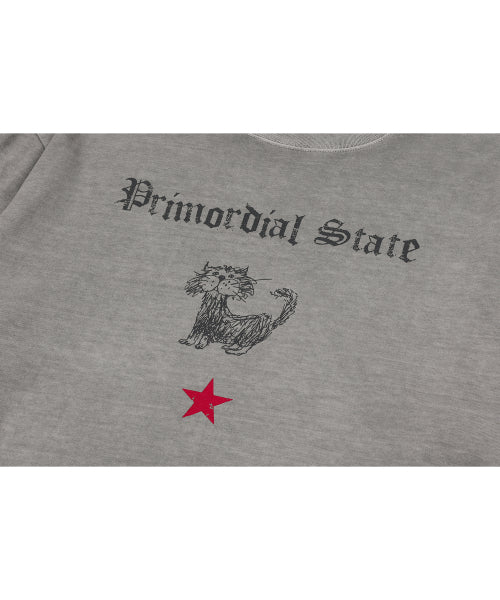 PRIMORDIAL LONG SLEEVE STAR - 3 COLORS GREY